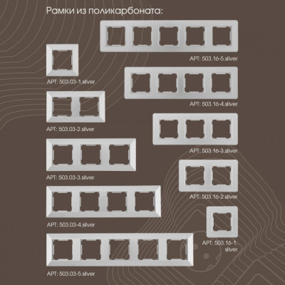 Розетка am-203 203.45-2.silver
