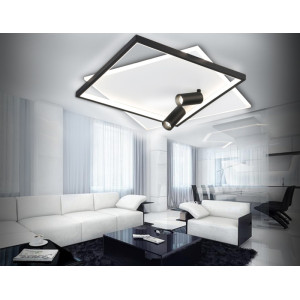 Настенно-потолочный светильник COMFORT FL5138