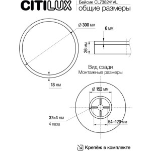 Настенно-потолочный светильник Basic Line CL738241VL